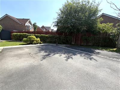Picture 21